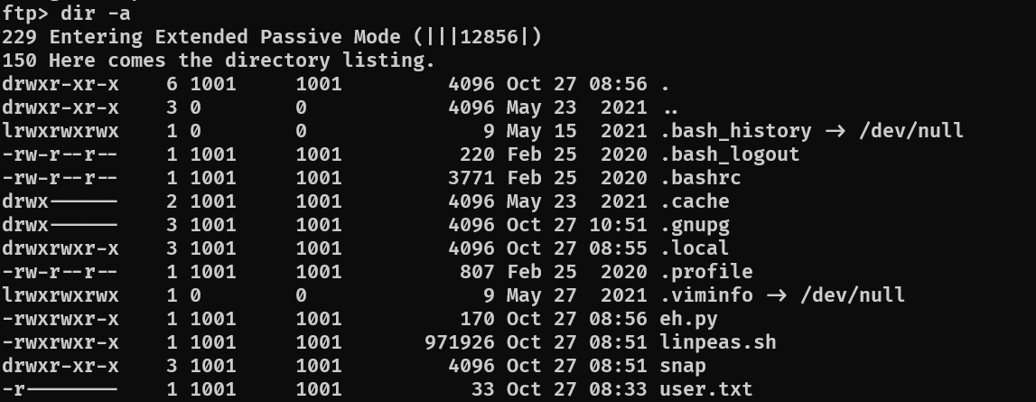 Successful FTP login with recovered credentials showing directory listing